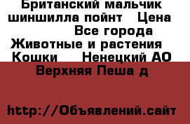 Британский мальчик шиншилла-пойнт › Цена ­ 5 000 - Все города Животные и растения » Кошки   . Ненецкий АО,Верхняя Пеша д.